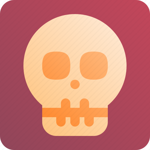 Radiology, scan, skull, xray icon - Download on Iconfinder