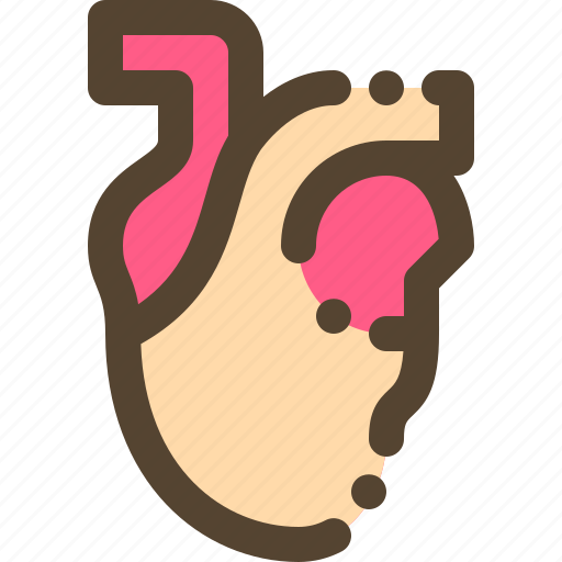 Health, heart, human, medical, organ icon - Download on Iconfinder