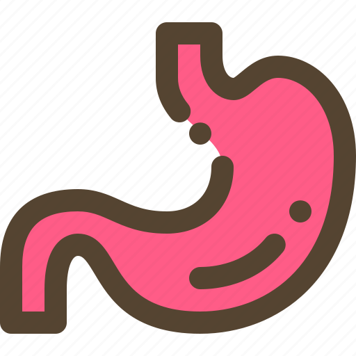 Health, human, medical, organ, stomach icon - Download on Iconfinder