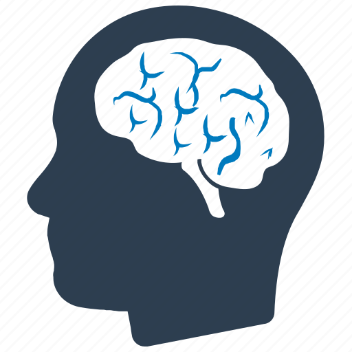 Brain, head, human, intelligence, neurology icon - Download on Iconfinder