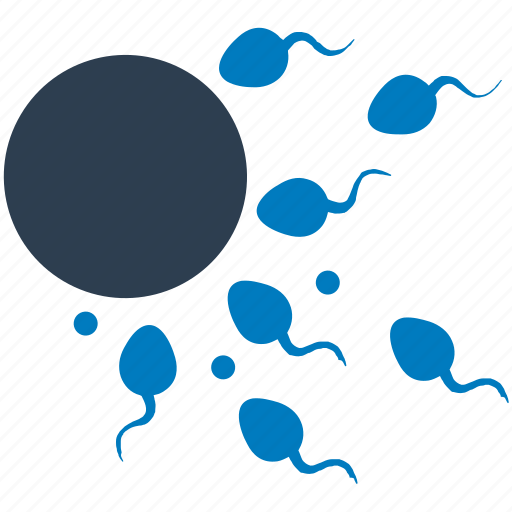 Egg, fertility, fertilization, reproduction, sperm icon - Download on Iconfinder