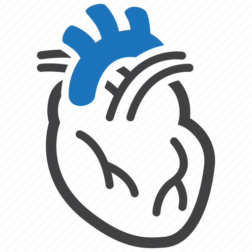 Cardiology, cardiovascular, human heart icon - Download on Iconfinder