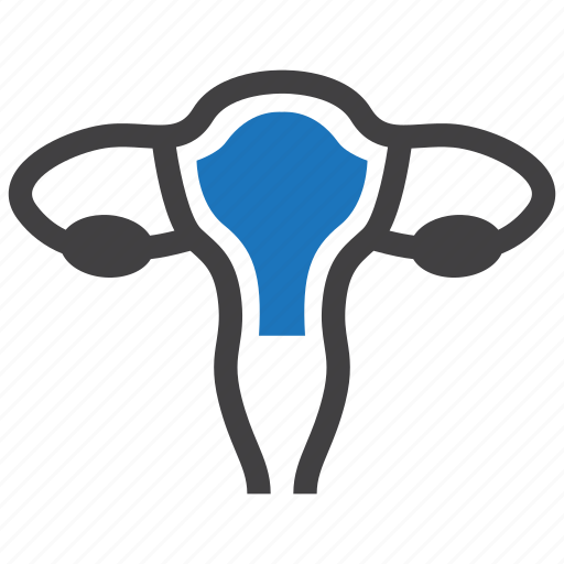 Gynecology, ovary, reproductive, uterus icon - Download on Iconfinder