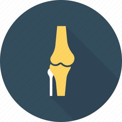 Bone, broken, dog, fracture, injury, meal, skeleton icon - Download on Iconfinder