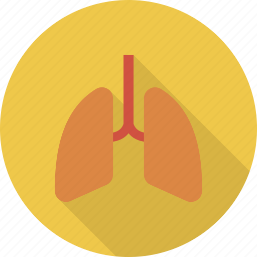 Breath, care, health, lung, lungs, medical, organs icon - Download on Iconfinder