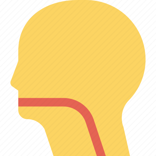 Brain, face, head, human, patient, profile icon - Download on Iconfinder
