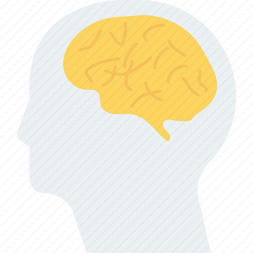 Brain, head, human, neurology icon - Download on Iconfinder