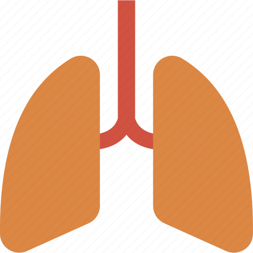 Breath, care, health, lung, lungs, medical, organs icon - Download on Iconfinder