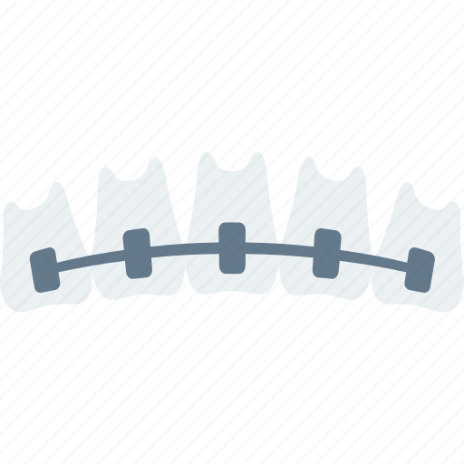 Artificial, dental, denture, jaw, stomatology, treatment icon - Download on Iconfinder