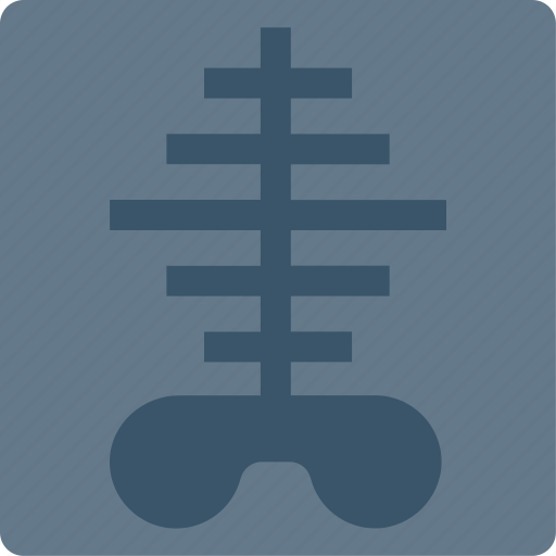 Doctor, medical, patient, radiography, xray icon - Download on Iconfinder