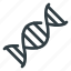 dna, gene, genetic, helix 