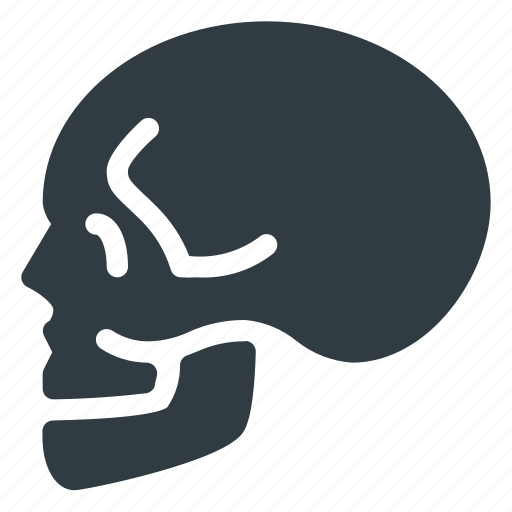 Anathomy, bone, death, head, skull icon - Download on Iconfinder