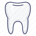 dental, dentist, teeth, tooth