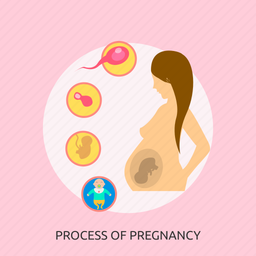 Baby, biology, embryo, medical, mother, pregnancy, process icon - Download on Iconfinder