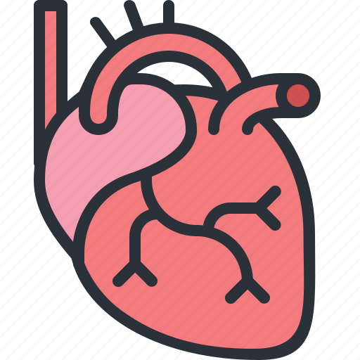 Beat, health, heart, hospital, medical, organ icon - Download on Iconfinder