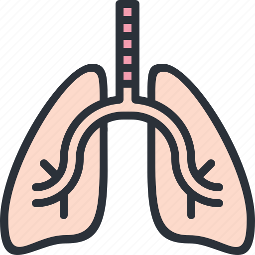 Body, health, hospital, lungs, medical, organ icon - Download on Iconfinder