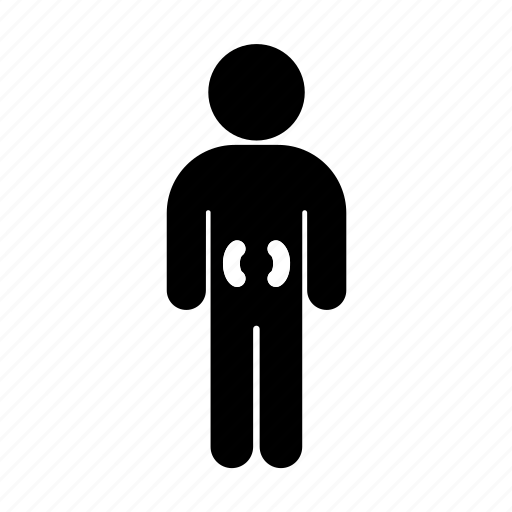 Kidneys, medicine, nephrology, person icon - Download on Iconfinder