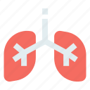 anatomy, lung, lungs, organ