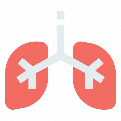 Anatomy, lung, lungs, organ icon - Download on Iconfinder