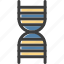 dna, genetics, genome, medical 