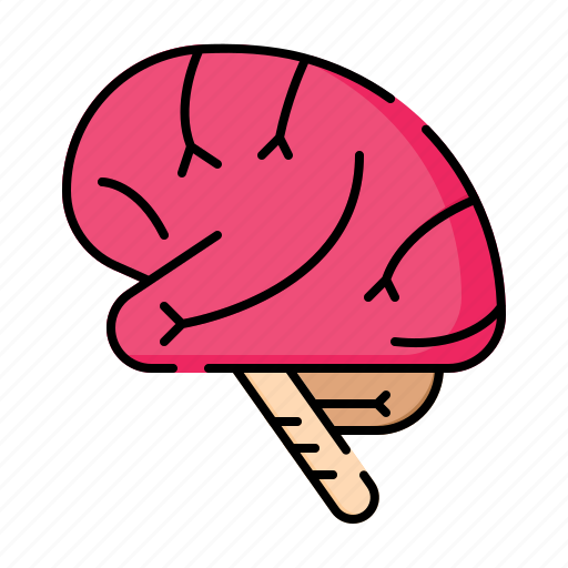 Anatomy, brain, head, healthcare, hospital, mind, organ icon - Download on Iconfinder