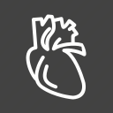 artery, body, cardiology, heart, human, medical, organ