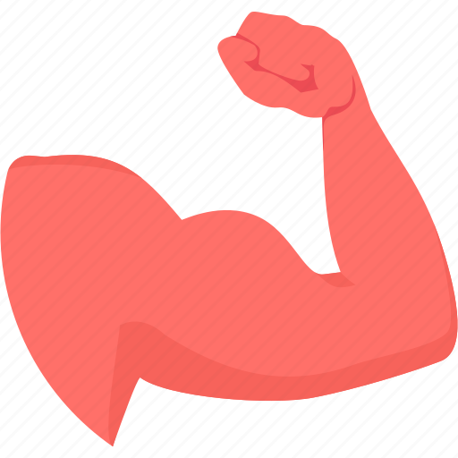 Healthy, arm, fitness, gym, health, muscles, sports icon - Download on Iconfinder
