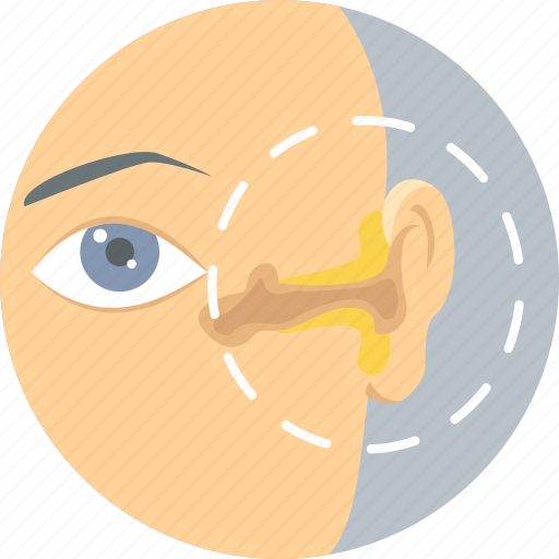 Ear, treatment, body, ear infection, ear problem, healthcare, medical icon - Download on Iconfinder