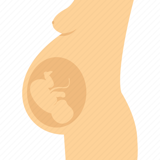 Obstetrics, embryo, fetus, maternity, pregnancy, pregnant, prenatal icon - Download on Iconfinder