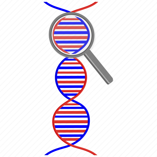 Dna, health, healthy, medical, search icon - Download on Iconfinder