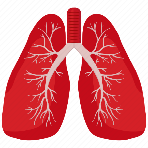 Breathe, lungs, medical icon - Download on Iconfinder
