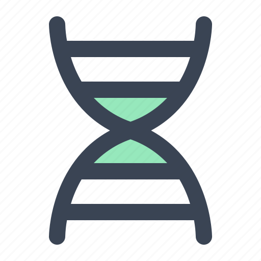 Dna, gene, genetic, healthcare, helix, medical icon - Download on Iconfinder