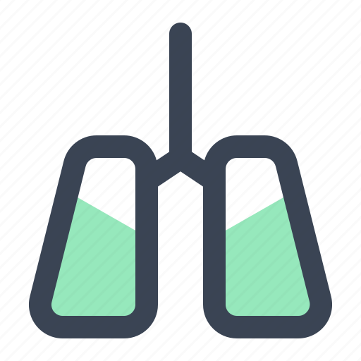 Anatomy, doctor, health, healthcare, lung, medical, organ icon - Download on Iconfinder