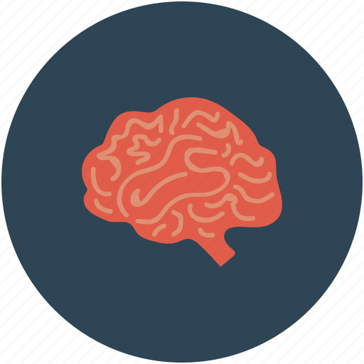 Brain, brain mri, ct scan, human brain icon - Download on Iconfinder
