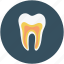 tooth, dental, human teeth, stomatology 