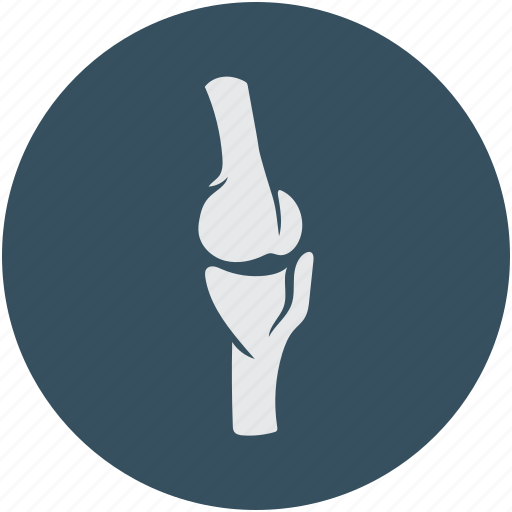 Bones, human bones, joint, knee joint icon - Download on Iconfinder