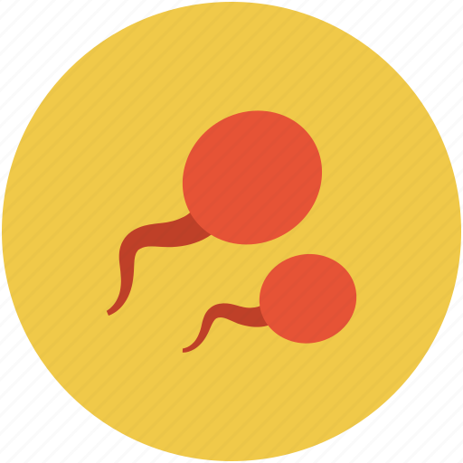 Sperms, fertile, reproduction, sex icon - Download on Iconfinder