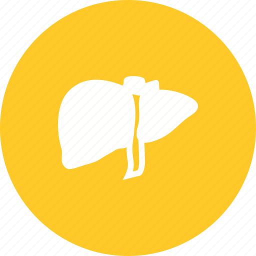 Anatomy, biolodgy, health, human body, liver, medical, organ icon - Download on Iconfinder