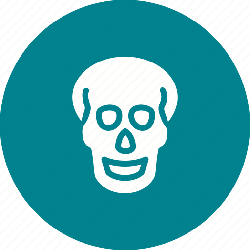 Brain, examination, head, medical, skeleton, skull, x ray icon - Download on Iconfinder