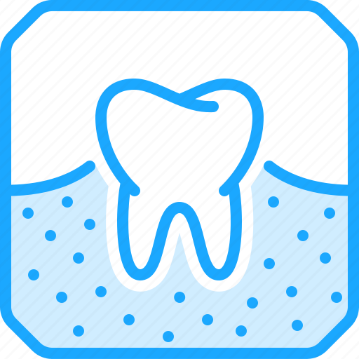 Roentgen, dental, snapshot, tomography, tooth, xray icon - Download on Iconfinder