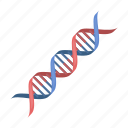 dna, genetics, human, molecule