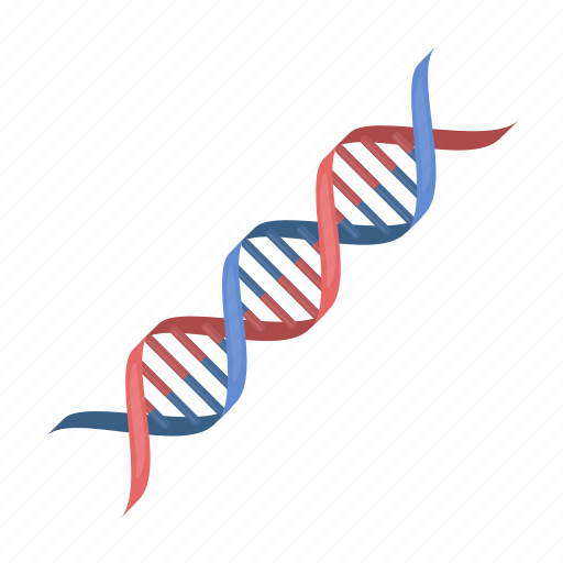Dna, genetics, human, molecule icon - Download on Iconfinder