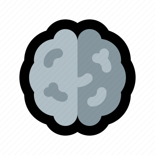 Brain, head, mind, nervous, organ, system icon - Download on Iconfinder
