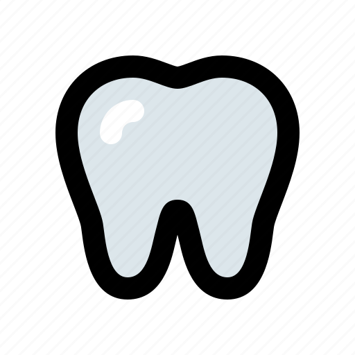 Caries, dental, dentist, orthodontist, teeth, tooth, tooth decay icon - Download on Iconfinder