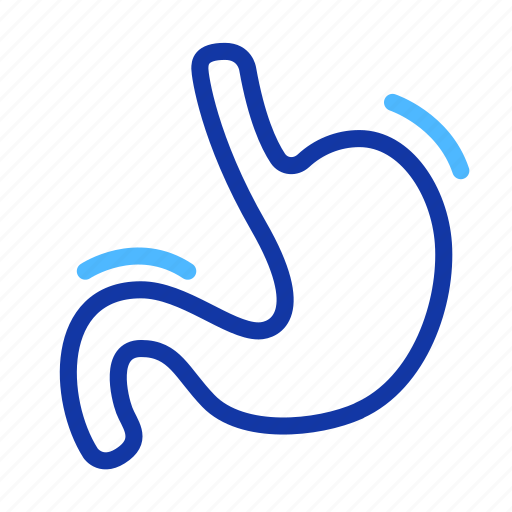 Stomach, organ, anatomy, healthcare, health, medical, body icon - Download on Iconfinder