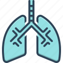 breath, bronchi, human, lung, pulmonary, respiratory, trachea