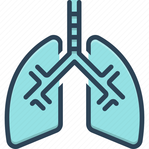 Breath, bronchi, human, lung, pulmonary, respiratory, trachea icon - Download on Iconfinder