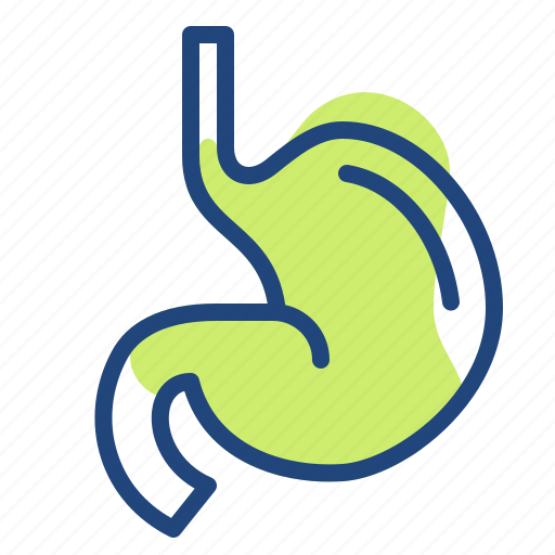Care, clinic, health, hospital, medichine, stomach icon - Download on Iconfinder