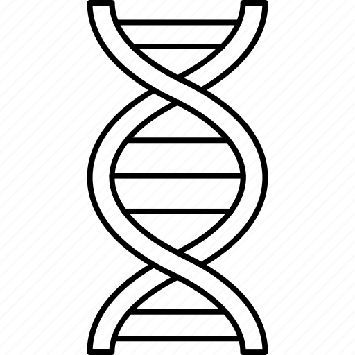 DNA helix linear icon. Connected dots, lines. Deoxyribonucleic, nucleic  acid structure. Genetic code. Genetics. Thin line illustration. Contour  symbol. Vector isolated outline drawing. Editable stroke 3766278 Vector Art  at Vecteezy