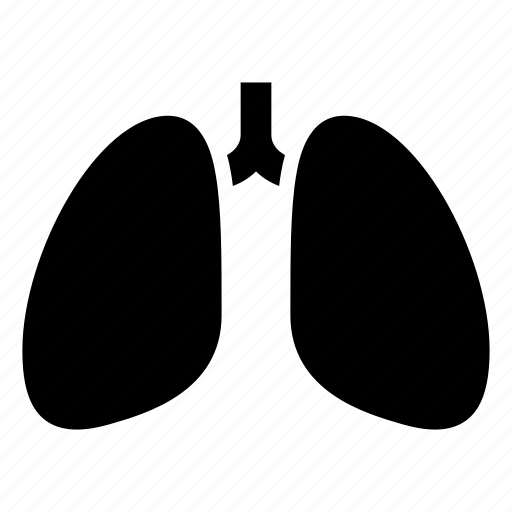 Breathing, chest, lungs, anatomy, midicine, tuberculosis, x-ray icon - Download on Iconfinder